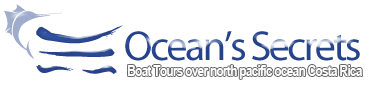 Logo de Ocean's Secrets - un delfin en las olas al lado del nombre